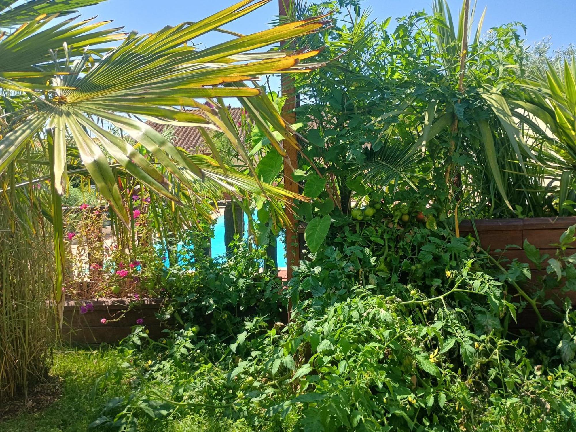 G1 Les Oliviers Holiday home Saint-Germain-de-Princay