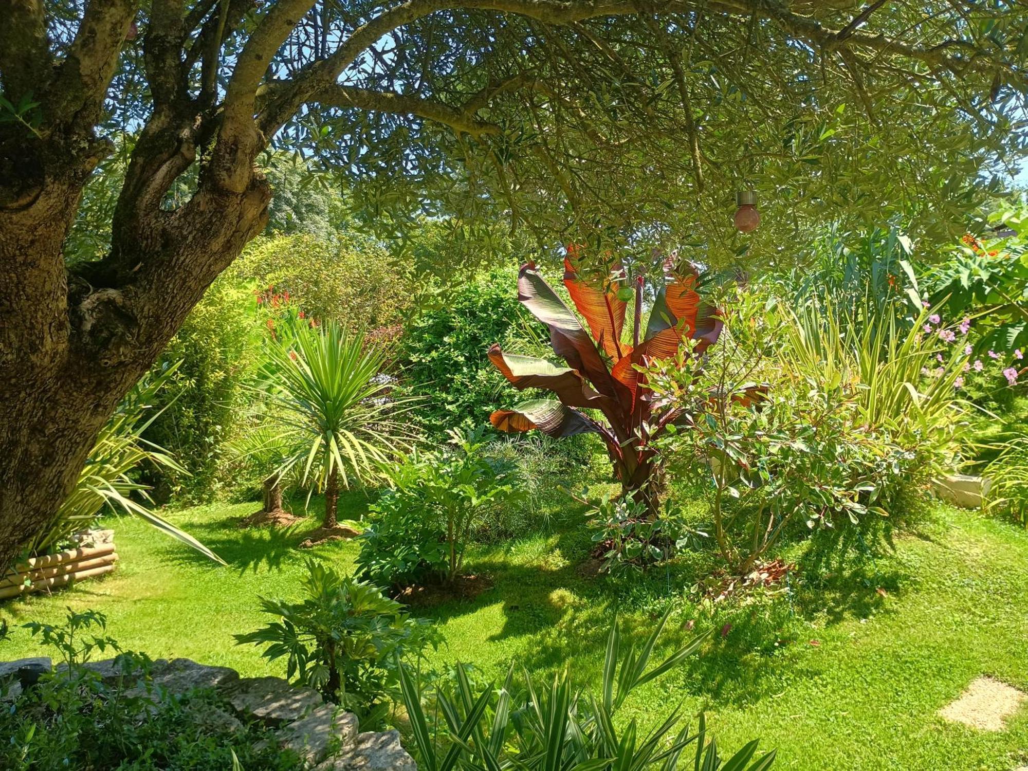 G1 Les Oliviers Holiday home Saint-Germain-de-Princay