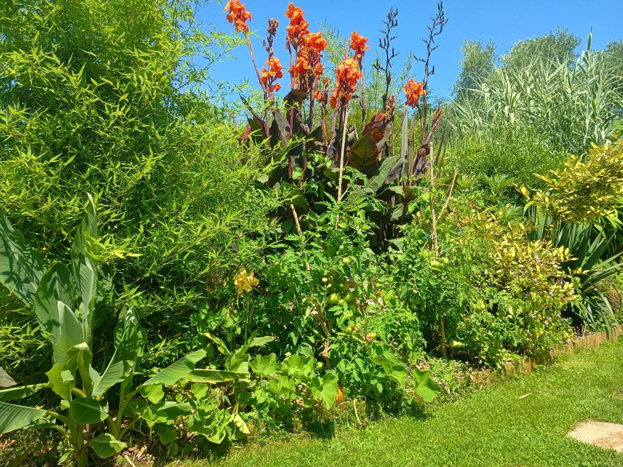 Holiday home G1 Les Oliviers Saint-Germain-de-Princay